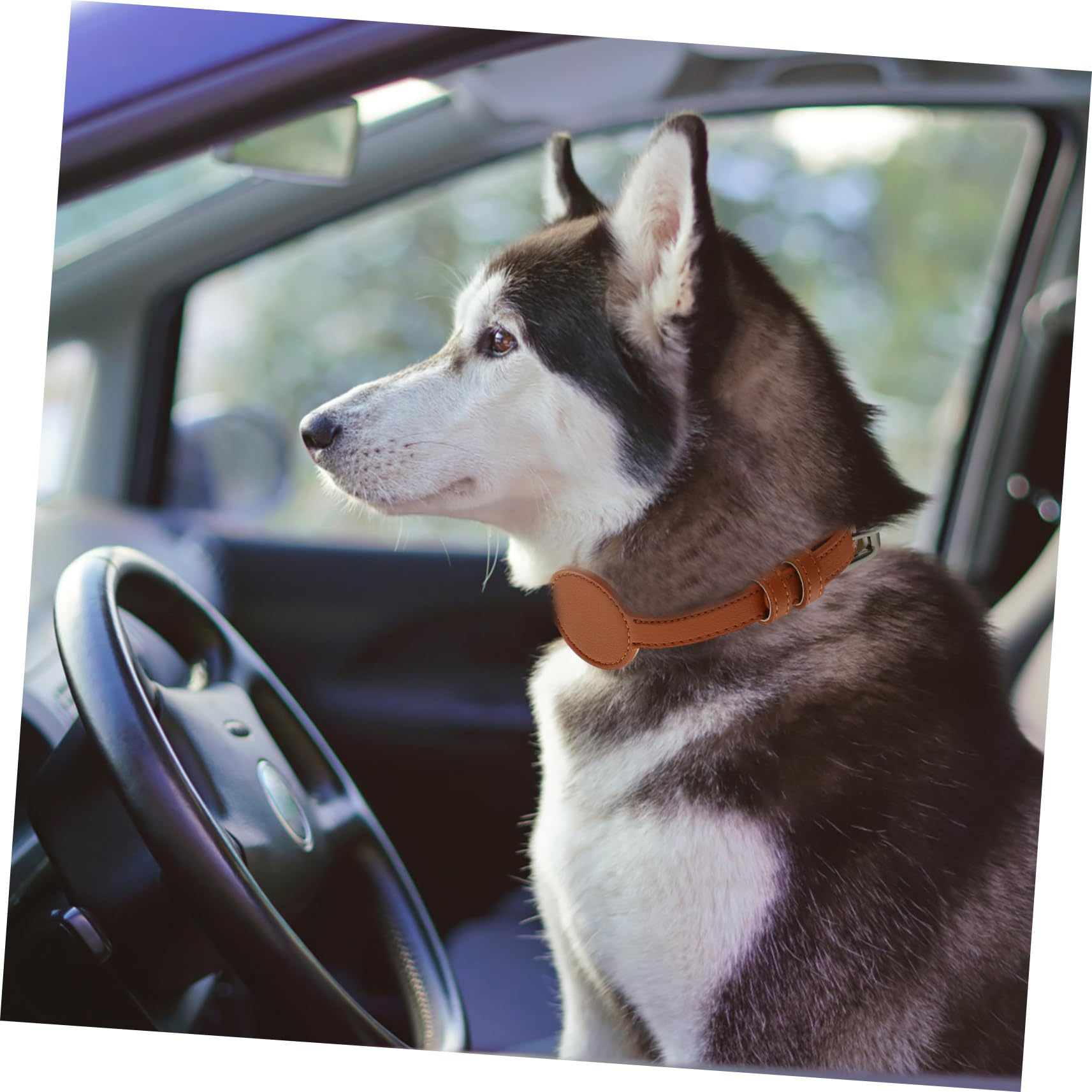 minkissy 5stücke Pets Tracer Für Pu-Material Leichtes Design Für Outdoor-aktivitäten Mit Tracer-behälter Komfortable Passform Für Und Kleine Hunde