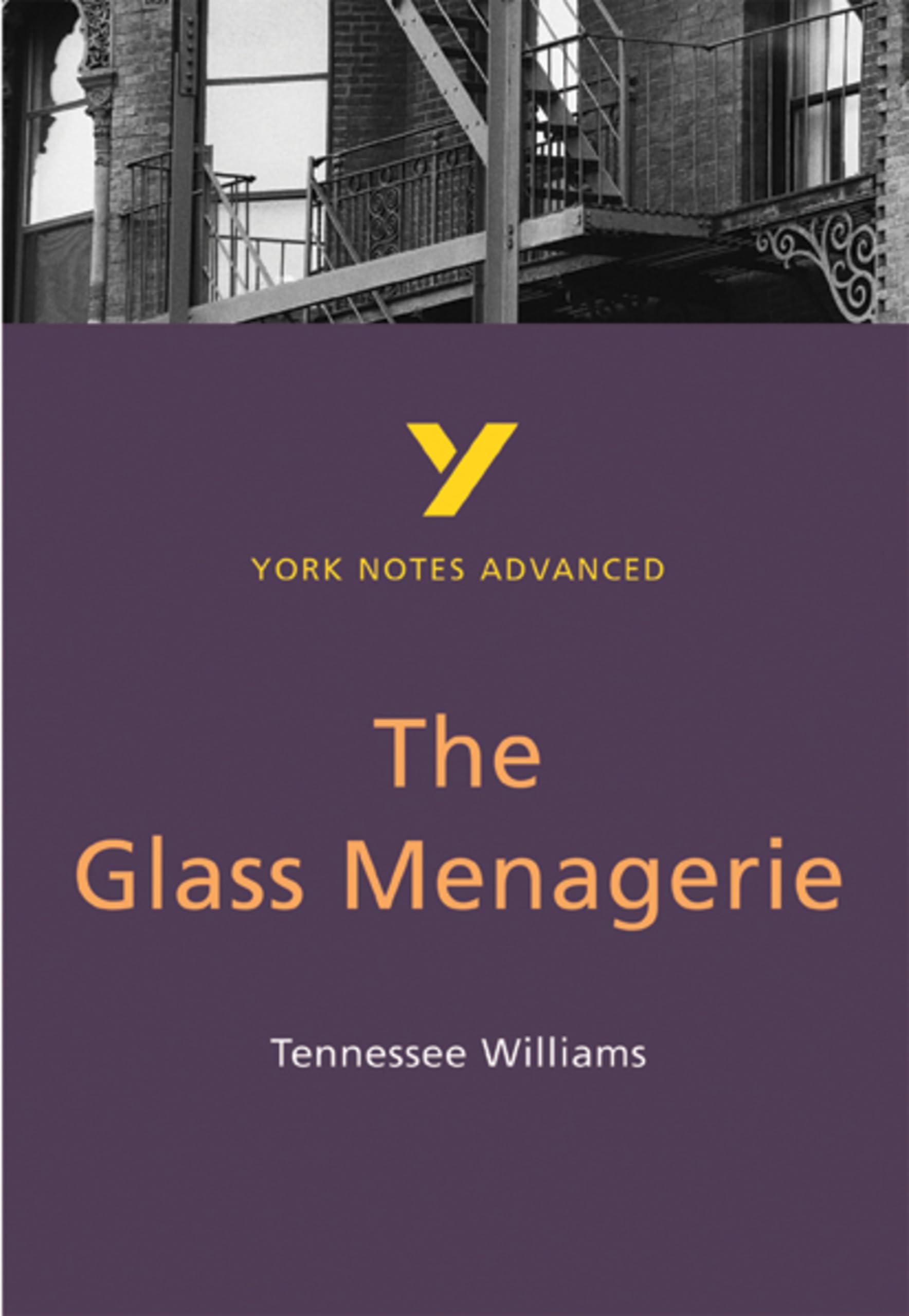 The Glass Menagerie York Notes Advanced   by Tennessee Williams PAPERBACK
