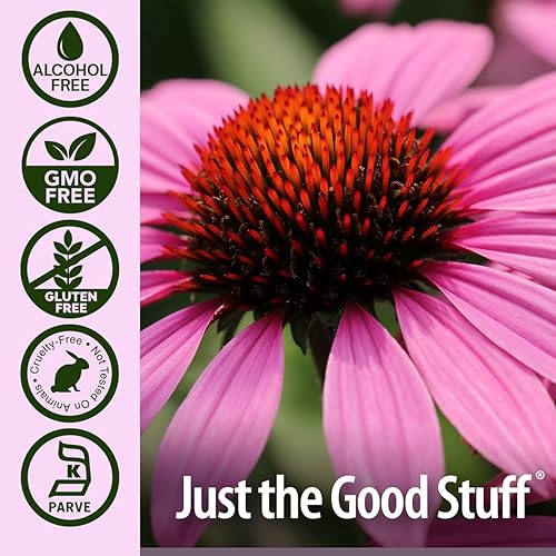 Miniatura 5 de Nature's Answer Extracto sin alcohol de equinácea, 1 onza líquida, promueve el bienestar general, refuerzo inmunológico natural, reductor