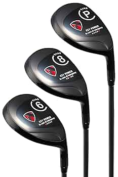 シニアゴルフ研究所　EZY POWER アイアンセット 6本セット Amazon.co.jp: EZYPOWER イージーパワー【セット価格】「強力