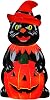 Mr. Halloween 18 in Outdoor Cat Blow Mold with LED Lights, Battery Operated Light Up Halloween Decoration
