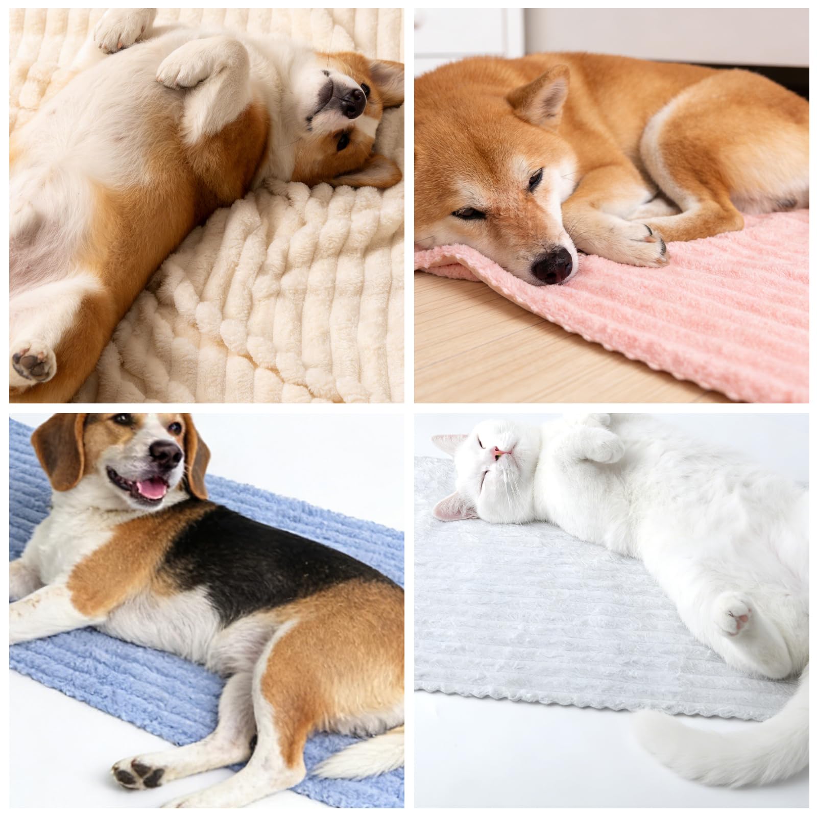 4PCS Couvertures pour Animaux en Polaire Corail, Couverture Chien Chat Lavable en Machine, Imperméable et Anti-Poils, Plaid Doux et Chaud Multi-Usage pour Maison, Canapé, Lit et Voyage