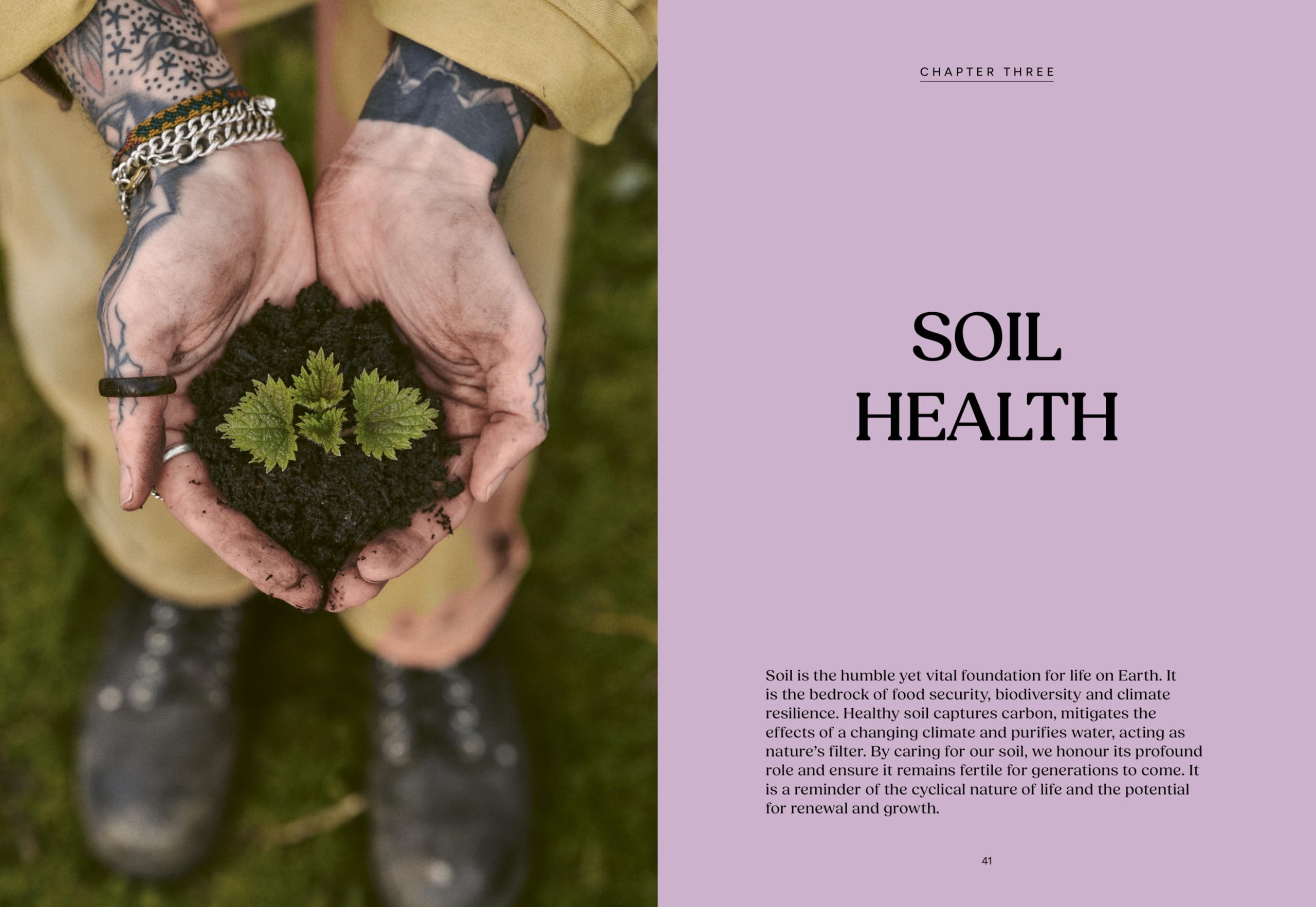 Nettles & Petals: Grow Food. Eat Weeds. Save Seeds. The Sunday Times Bestseller