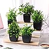 Product Photo 3