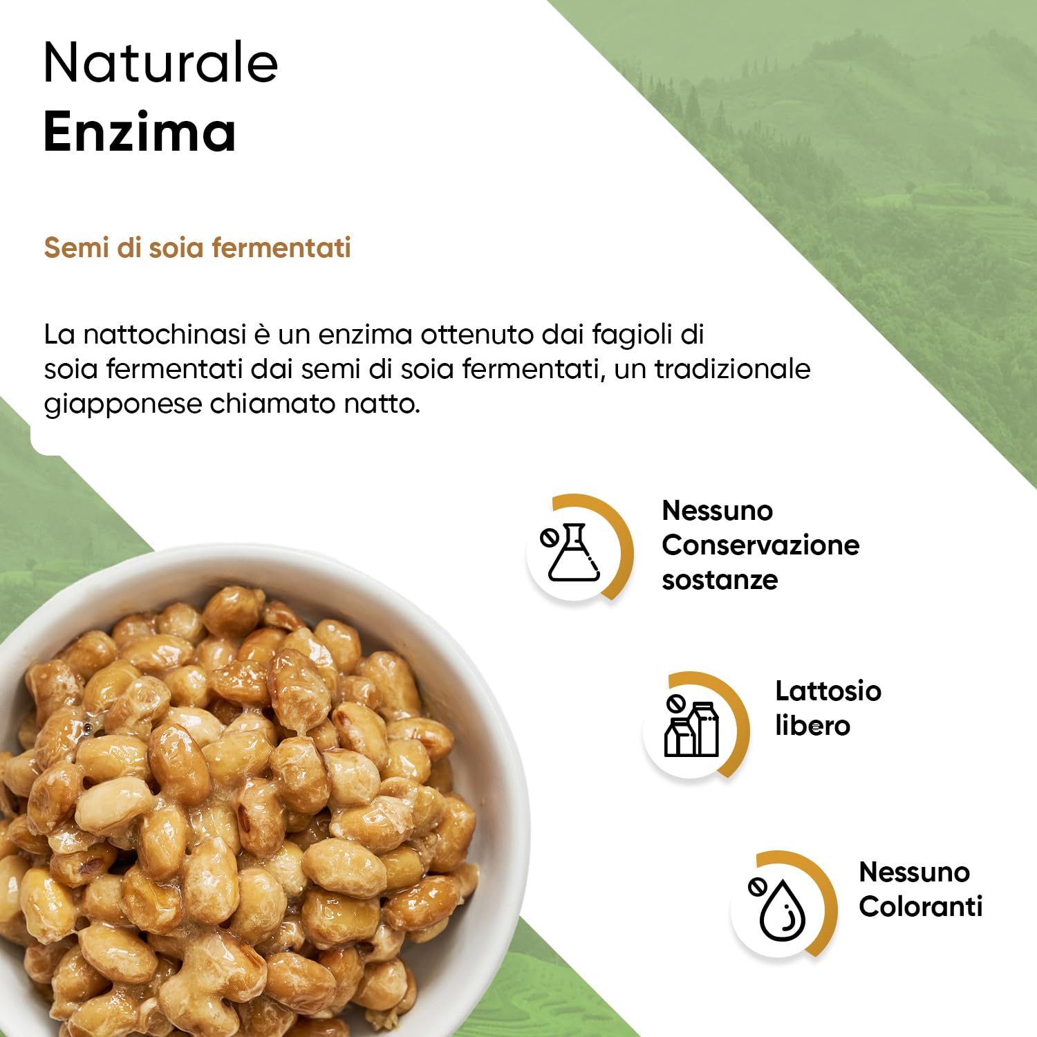 Nattokinase 365 capsule da 100 mg ciascuna (20.000 FU/g) - Scorta per 12 mesi con portapillole incluso - Ad alto dosaggio - Testato in laboratorio - Vegano - A base di soia senza OGM e senza additivi