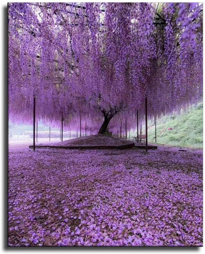 Purple WisteriaTree Canvas Art Poster and Wall Art Picture Print Modern Family Bedroom Decor Posters