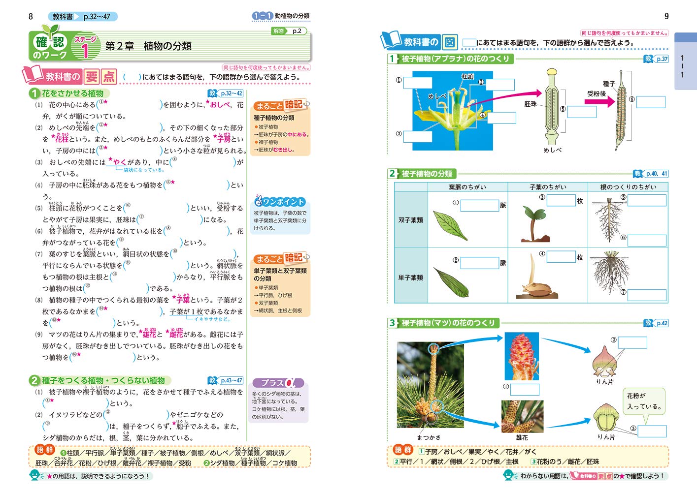 中学教科書ワーク 理科 1年 学校図書版 オールカラー 付録付き 文理 編集部 本 通販 Amazon