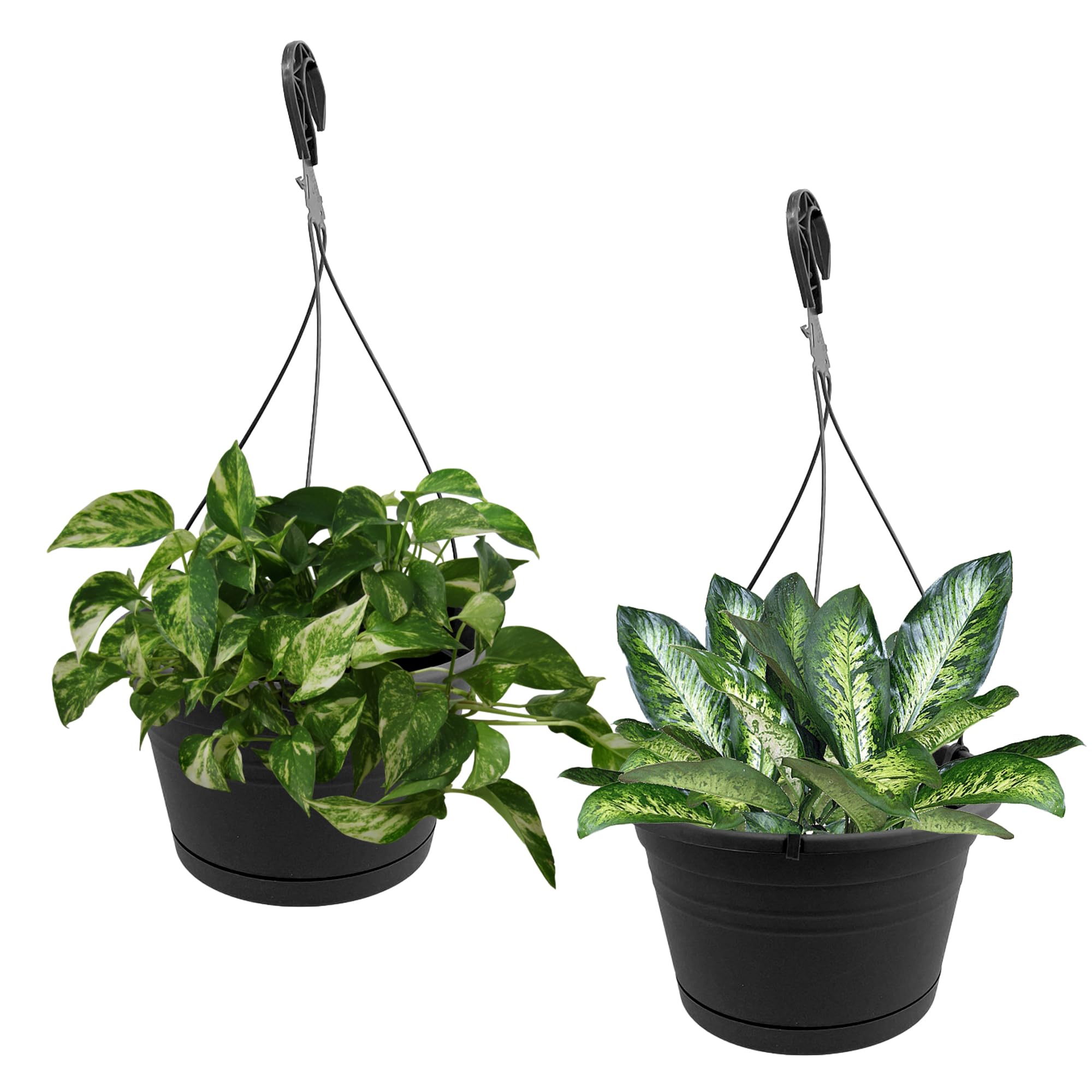 Photo 1 of J3A Collections 10-inch Hanging Planter (2-Pack)