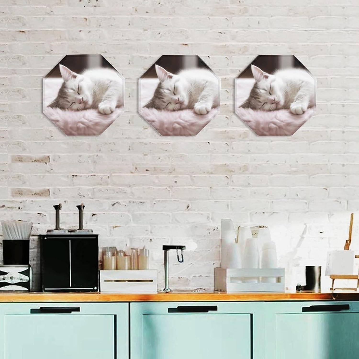 Ctagon Metal Sign for Home, Modern Display Plate for Kitchen, Sleeping Cat Plates Accent Hanging Wall Decorations 3PCS for Living Room, Bedroom, Hallway, Hotel
