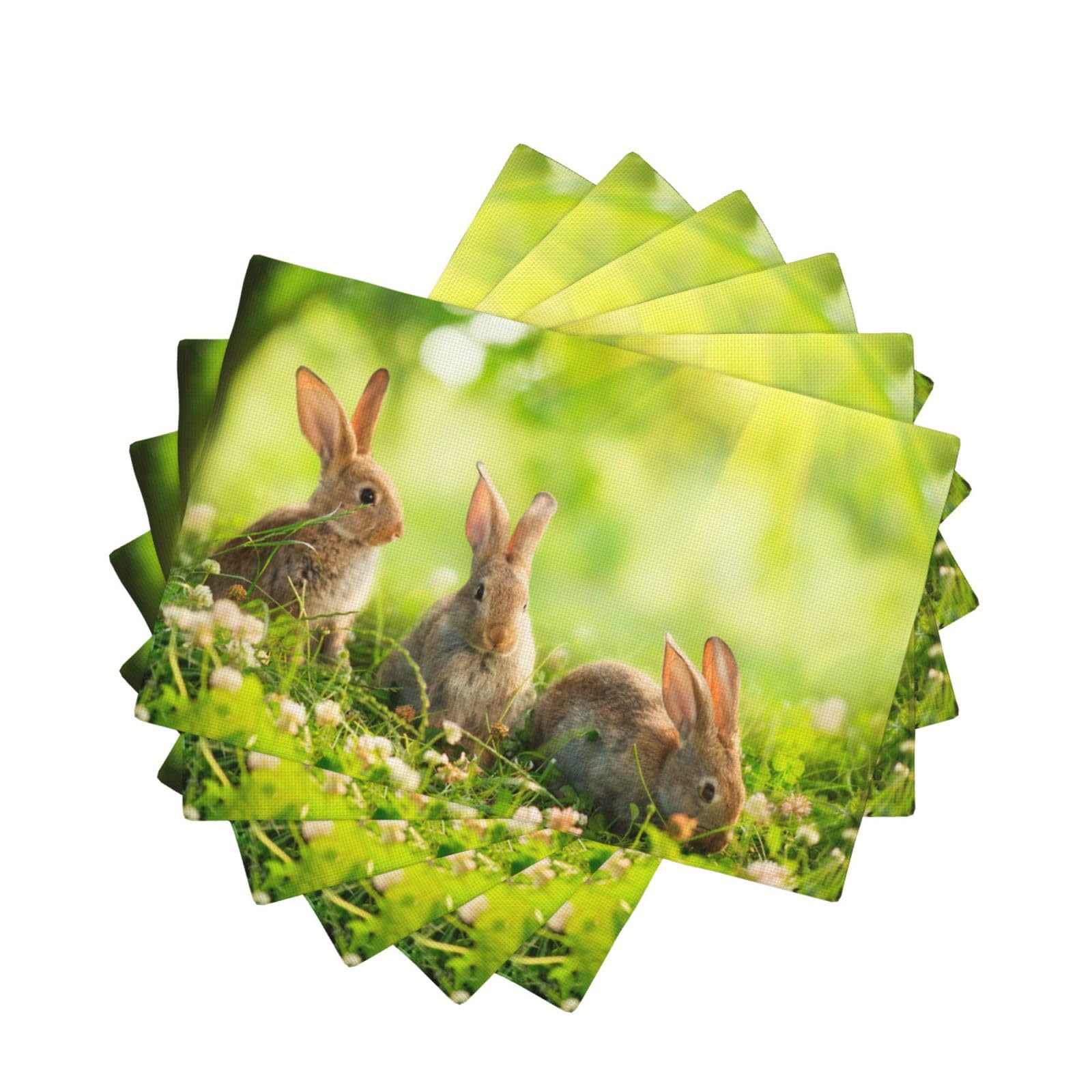 Sets de table en lin motif lapin pour vos pique-niques en plein air et déjeuners de famille