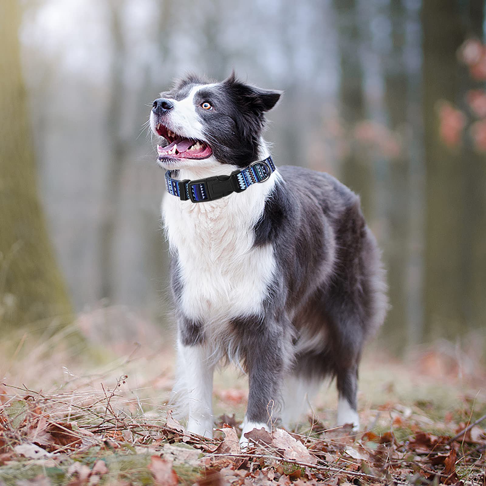 Verstellbares Nylon-Hundehalsband Mit Bienen-Muster - Größe S (25-40 Cm), Weich & Reflektierend