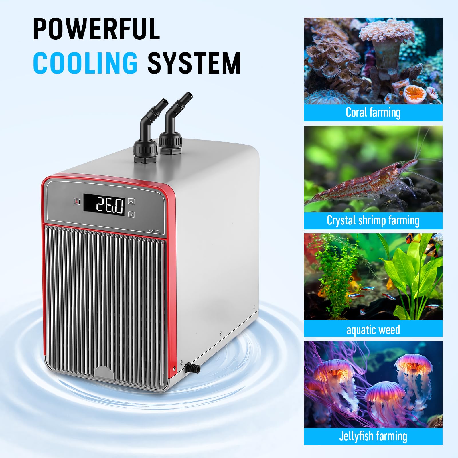 Refrigeratore Acquario 160L, Refrigeratore per Acquario D'acqua Serbatoio di Pesce Refrigeratore Speciale Design Silenzioso Compressore di Refrigerazione per Acquari, Meduse, Piante D'acqua