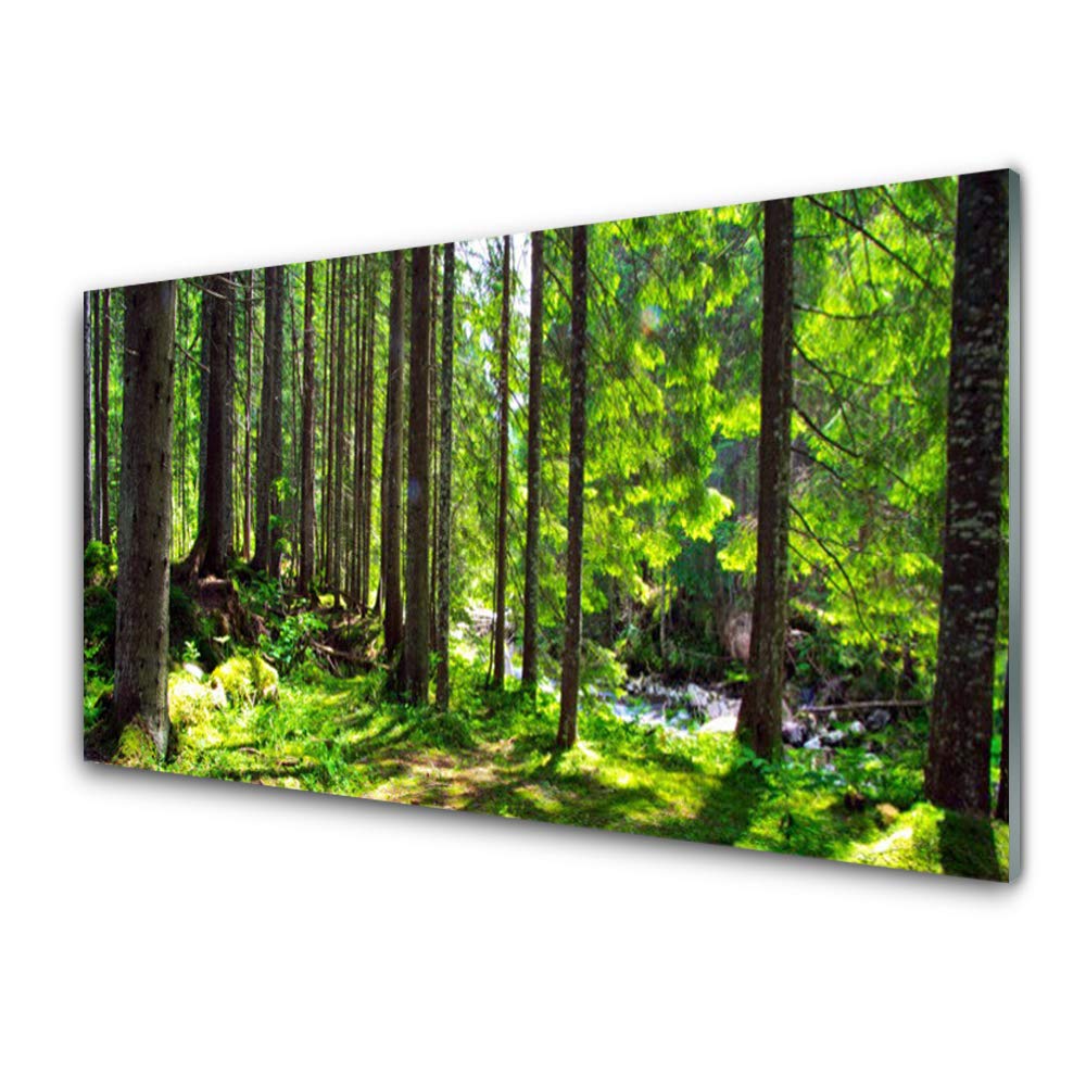 Impression sur verre trempé 100x50cm tableau nature forêt Tulup