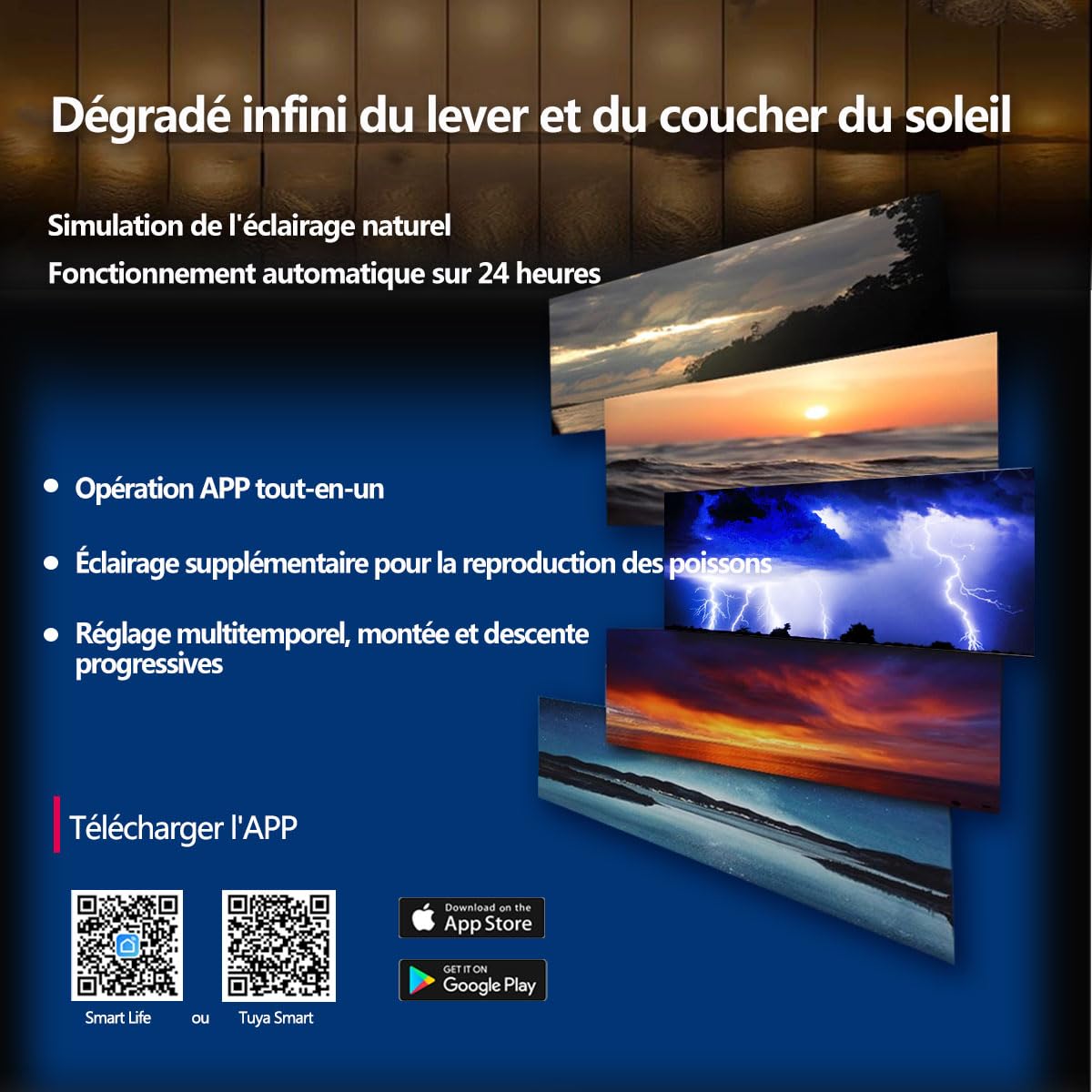 PopBloom RL60 WiFi Rampe LED Aquarium Eau de Mer 60W, APP Programme lampe aquarium eau de mer à Spectre Complet pour Aquarium de Corail recifal, L'APP supporte le français (Noir)