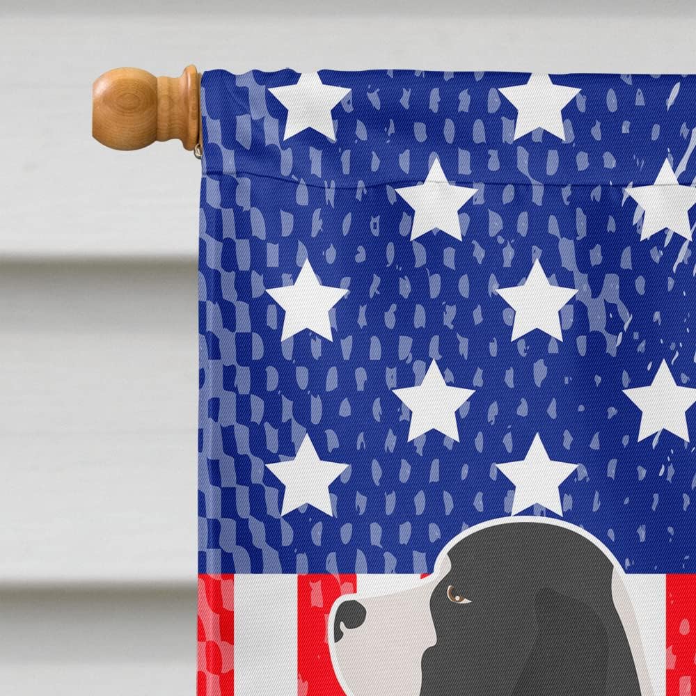 Caroline's Treasures BB8354CHF English Springer Spaniel American House Flag Large Porch Sleeve Pole Decorative Outside Yard Banner Artwork Wall Hanging, Polyester, House Size, Multicolor