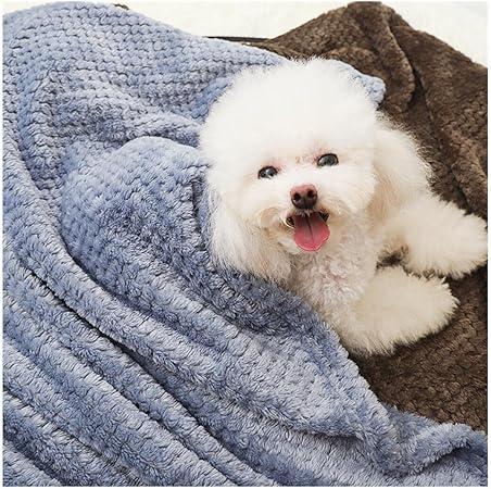 Amazon Petifam ペット用 毛布 猫犬用 ブランケット ひざ掛け 防寒 あったかい 犬 猫 通年仕様 肩掛け 100cm X 70cm おしゃれ ふわふわ 肌ざわりが良い 犬猫 ペット暖かい ふわふわ 布団 秋冬 暖かい オールシーズン 洗える 布団 4色 キャメル