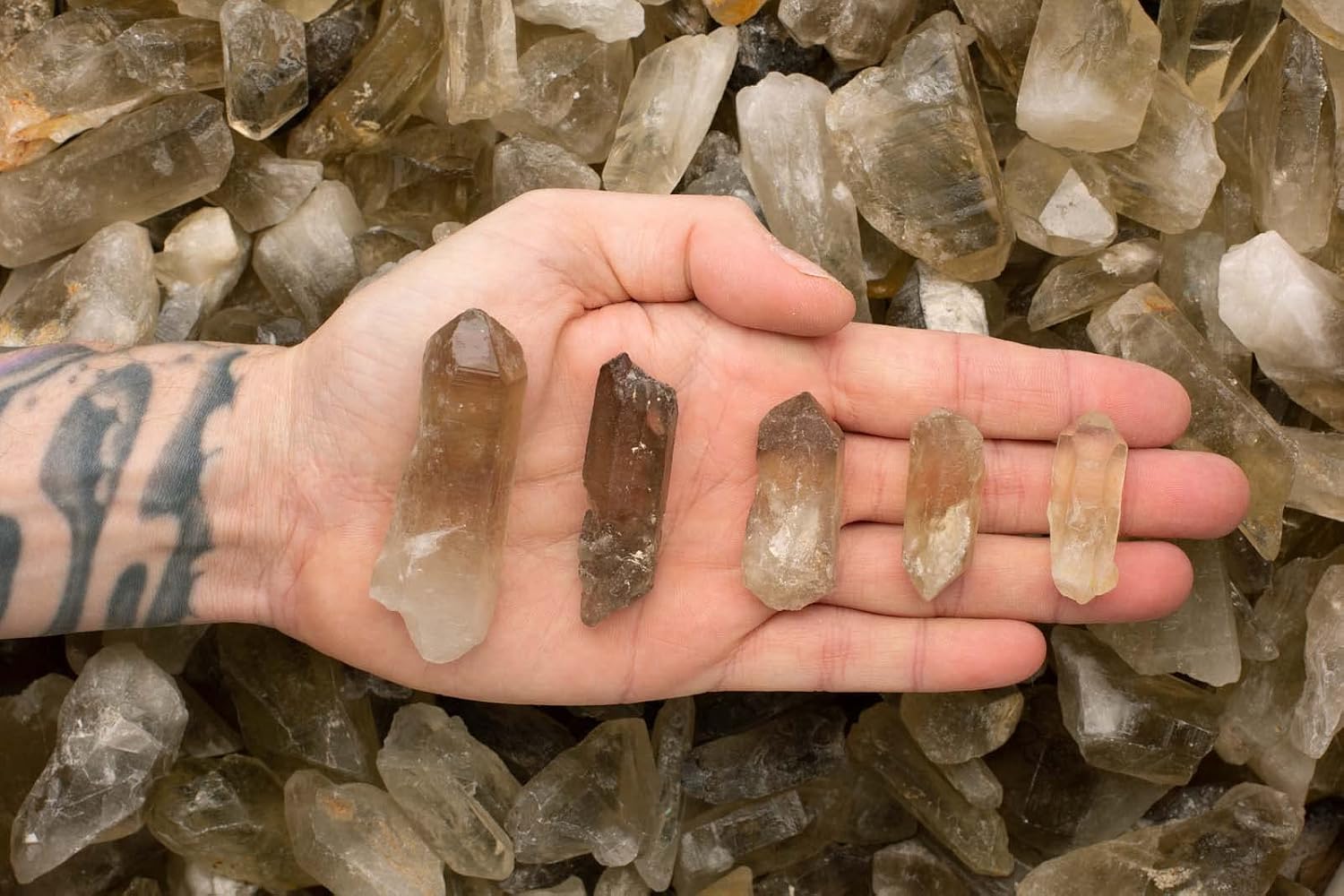 Fantasia Materials: 2 lbs Beer Smoky Quartz Points from Zambia - Unheated/Untreated - Completely Natural Earth Mined Smoky Points!