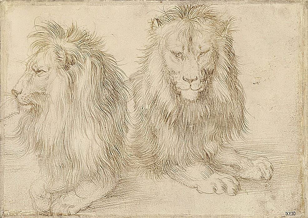 Lienzo de Dos leones de Albrecht Dürer de 60x90cm, el regalo artístico perfecto