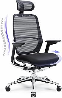 COLAMYErgonomic Mesh Office Chair, Hina, High Back