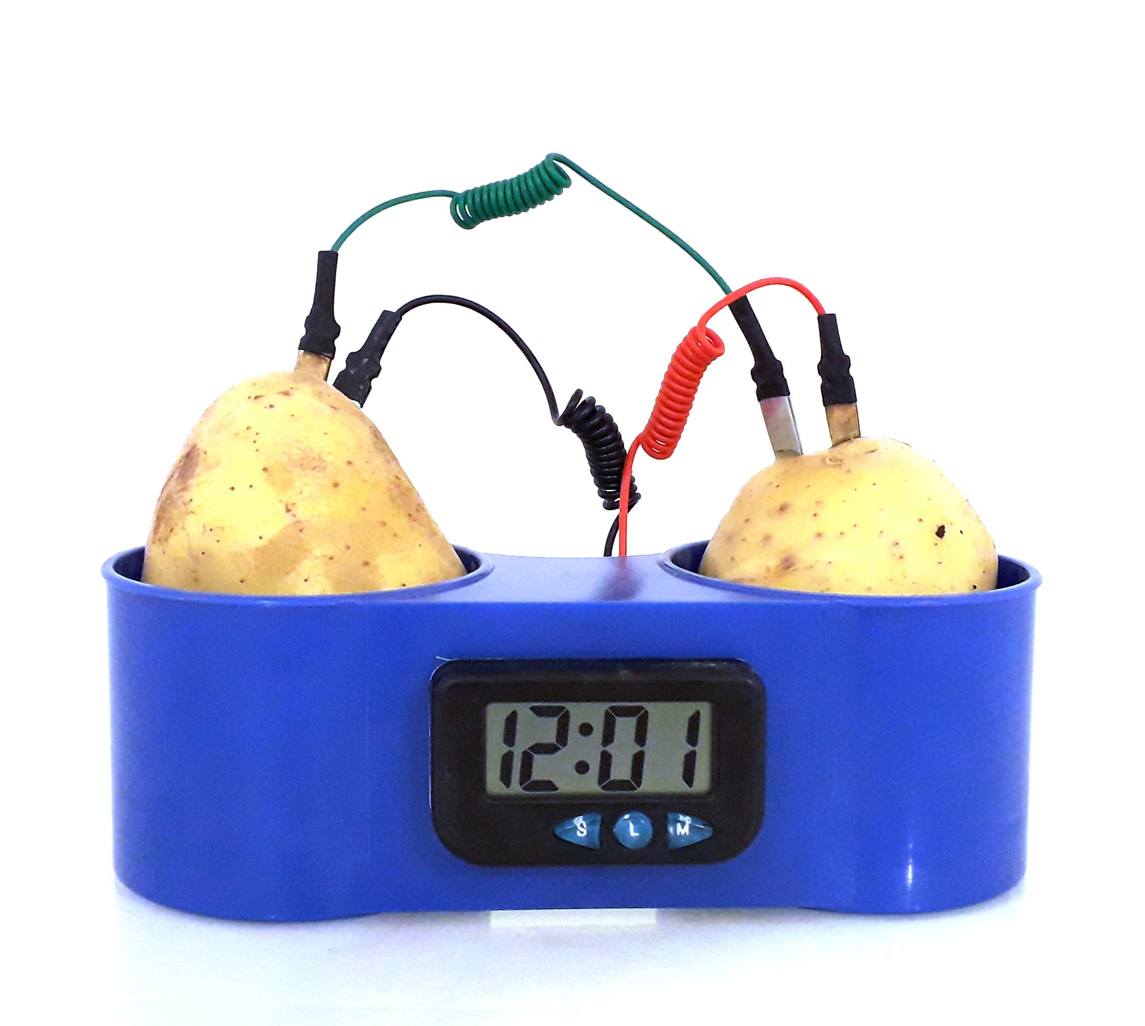 EISCO - Potato/Lemon Clock - DIY Electricity Experiment in Blue Plastic Holder (B07NSVZ2CS) Amazon Price History, Amazon Price Tracker