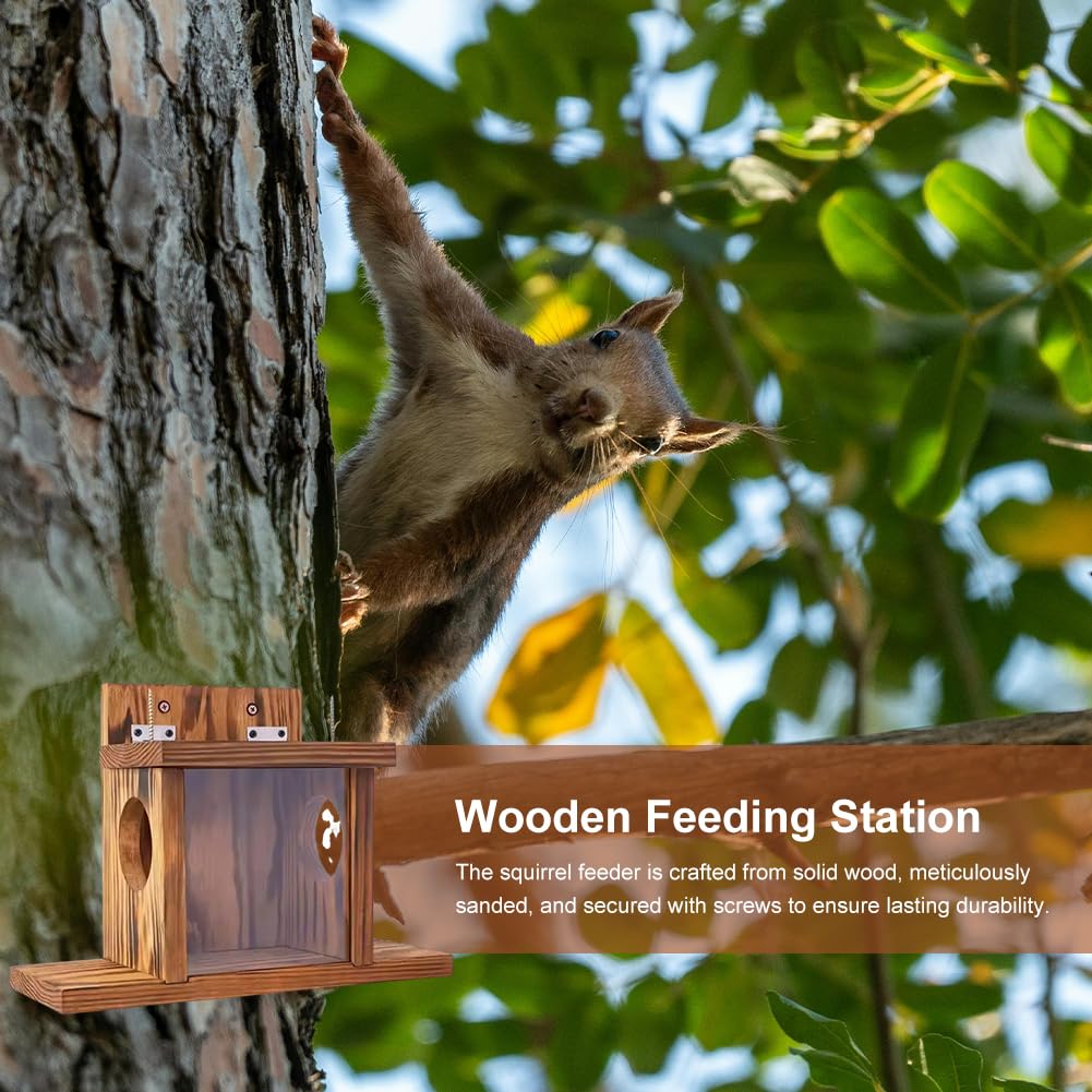 Mangiatoia Per Scoiattoli, Casetta Mangiatoia Per Scoiattoli, Stazione Di Alimentazione, Casetta In Legno Da Appendere, Adatto Per Essere Collocato In Giardini Esterni, Cortili, Corridoi E Balconi