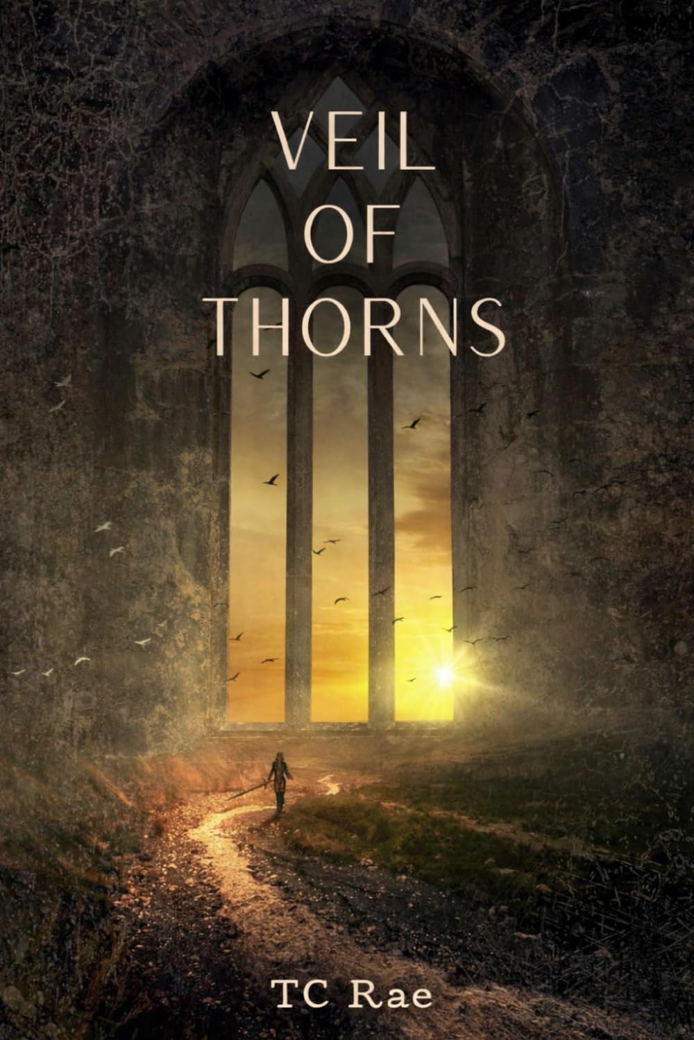 Veil of Thorns: Book One: Cursed Kingdom Duet