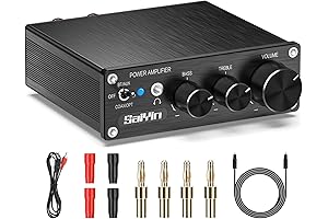 Saiyin Mini Amp: Amplify Your Audio Experience with Optical Input