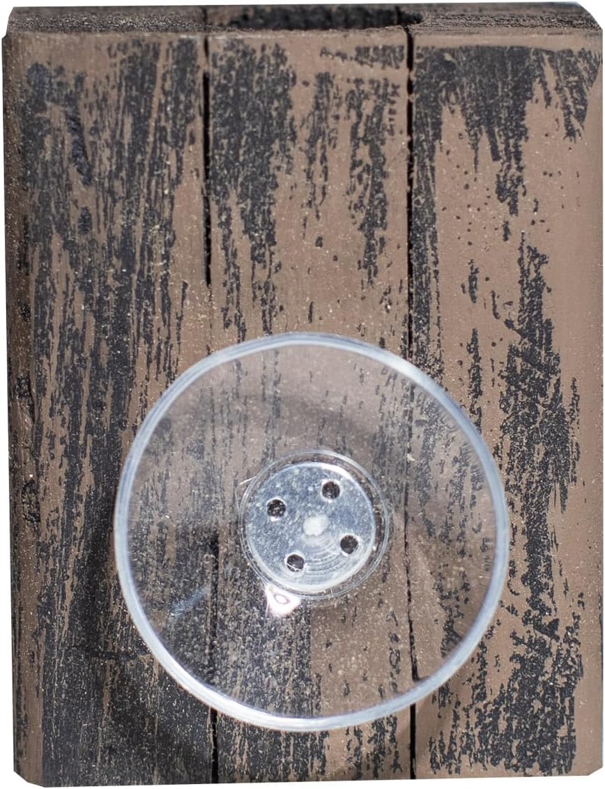 3 Tillandsia Live Air Plants & Inlaid Planter with Suction Cups for Window, Mirrors, Fridge and Velcro for Almost All Other Surfaces. Color Options to Fit Any Decor.