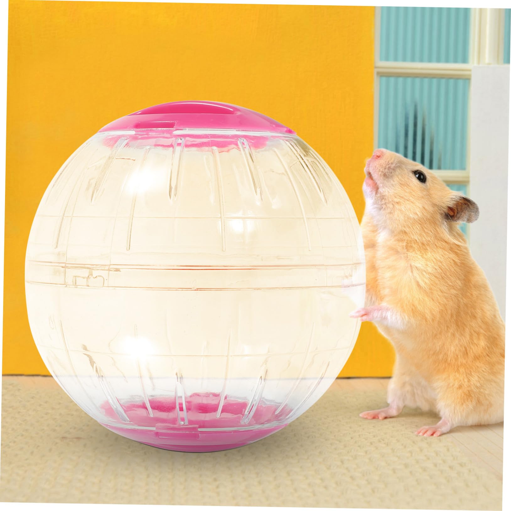 Balle D’Exercice pour Hamster Transparente Antievasion, Lot de 4