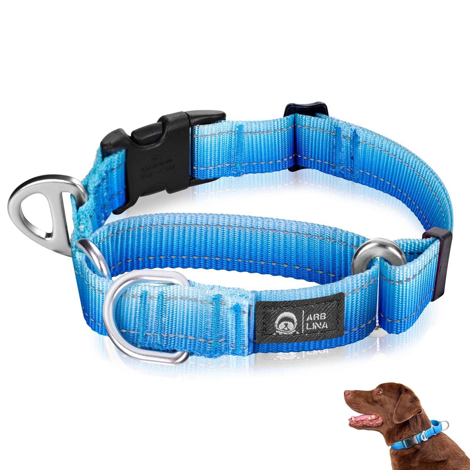 Arblina Martingale Dog Collar
