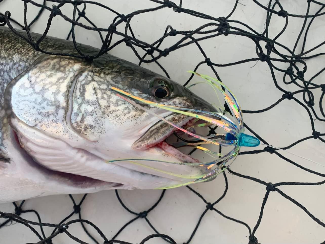 5 Pack 4" Salmon Trolling Fly & Leader Rig UV & Glow