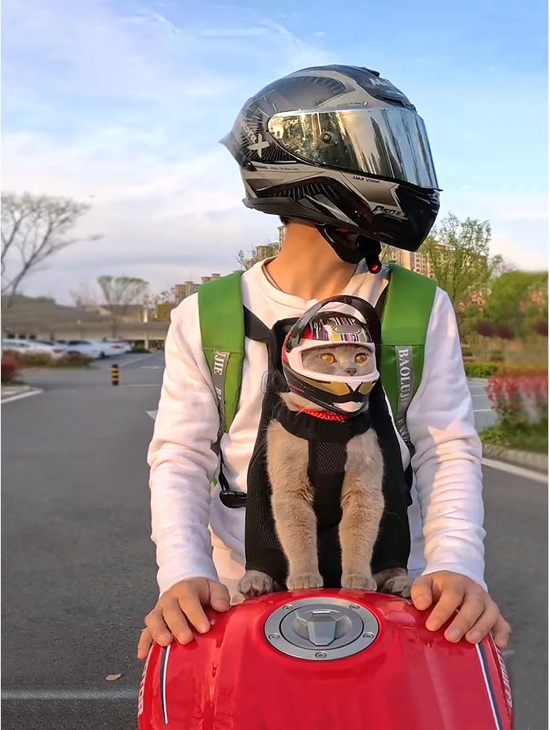 Cat Helmet Full Face Motorcycle Helmet Outdoor Motorcycle Bike Riding Helmet Hat for Cat Dog Doggie Puppy Kitten Helmet Supplies Racing Small Collect Gifts, DOT Approved