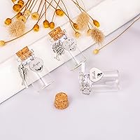 Vista 2 de 3 botellas de recuerdo personalizadas de piel de mascota para cenizas de mascotas, cabello y dientes, regalo de condolencia por pérdida de perro