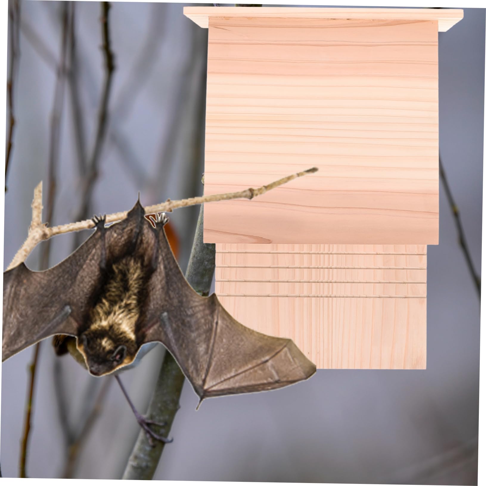 Sosoport Fledermauskasten Für Garten Handgefertigtes Fledermaus-haustierhaus Outdoor-fledermausunterstand Hölzernes Haustierhaus Für Fledermaus-schutzhaus Im Freien