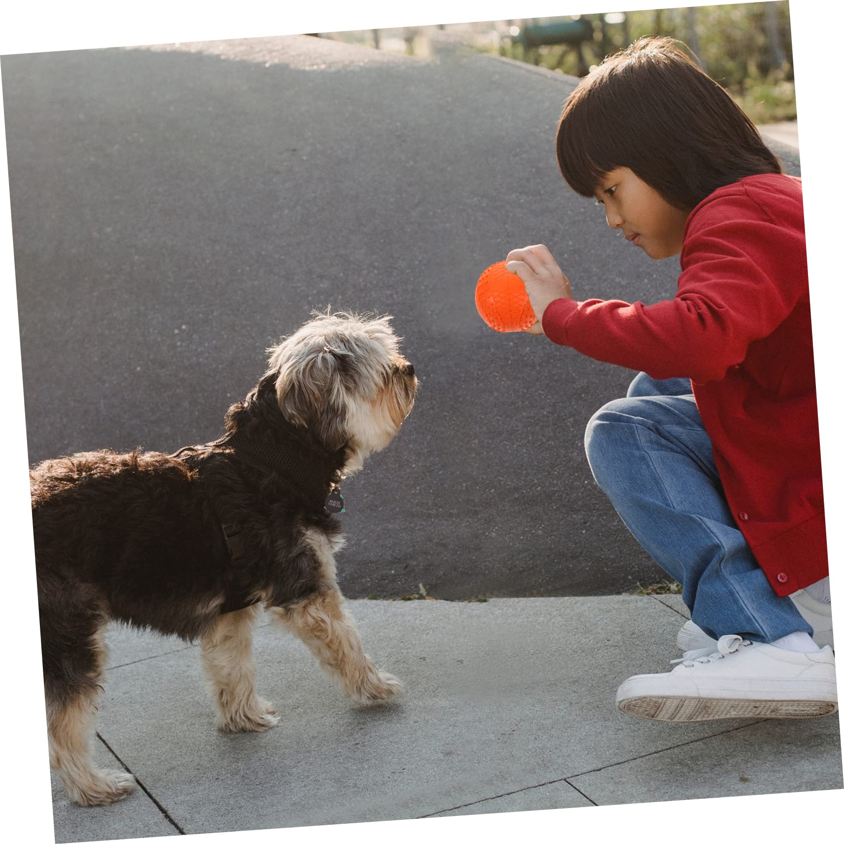 ORFOFE 4stücke Hundeball Spielzeug für Kleine und Mittelgroße Hunde Apportierball aus Robustem Gummimaterial Bissfest und Abriebfest Geeignet für Drinnen und Draußen