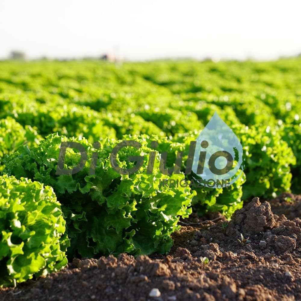 Tubo in Polietilene Diam 16 mm PN6 bassa densità per Irrigazione Orto, Giardino e Serra| Sistemi di acqua |Impianti pluristagionali per colture a pieno campo | Resistente ai raggi UV (500 METRI)