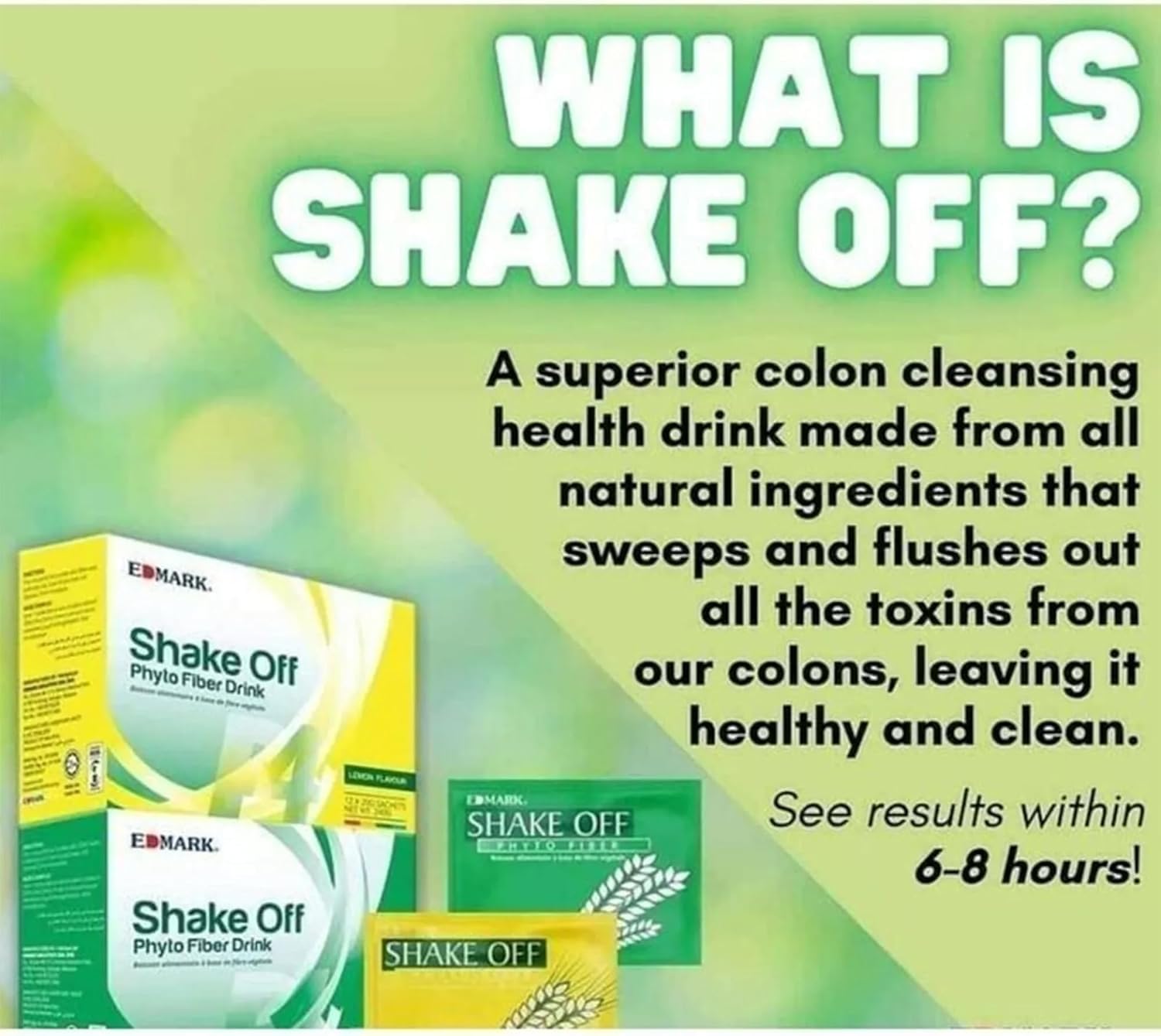 EDMARK Shake Off | Pandan Phyto Fiber Drink | 20g x 12 Bustine | Salute intestinale | Digestione sana | Supporto della fibra di regolarità | Detox | Benessere quotidiano | Facile mix