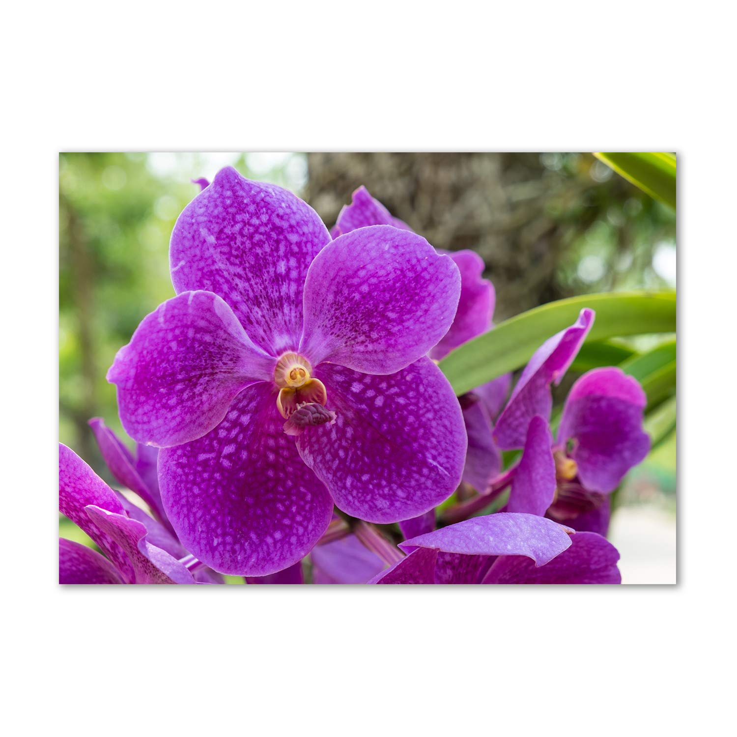 Tableau en verre acrylique orchidée pour nettoyer et décorer facilement vos murs
