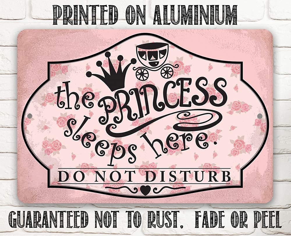 Amazon.com: Metal Sign - The Princess Sleeps Here - Durable Metal