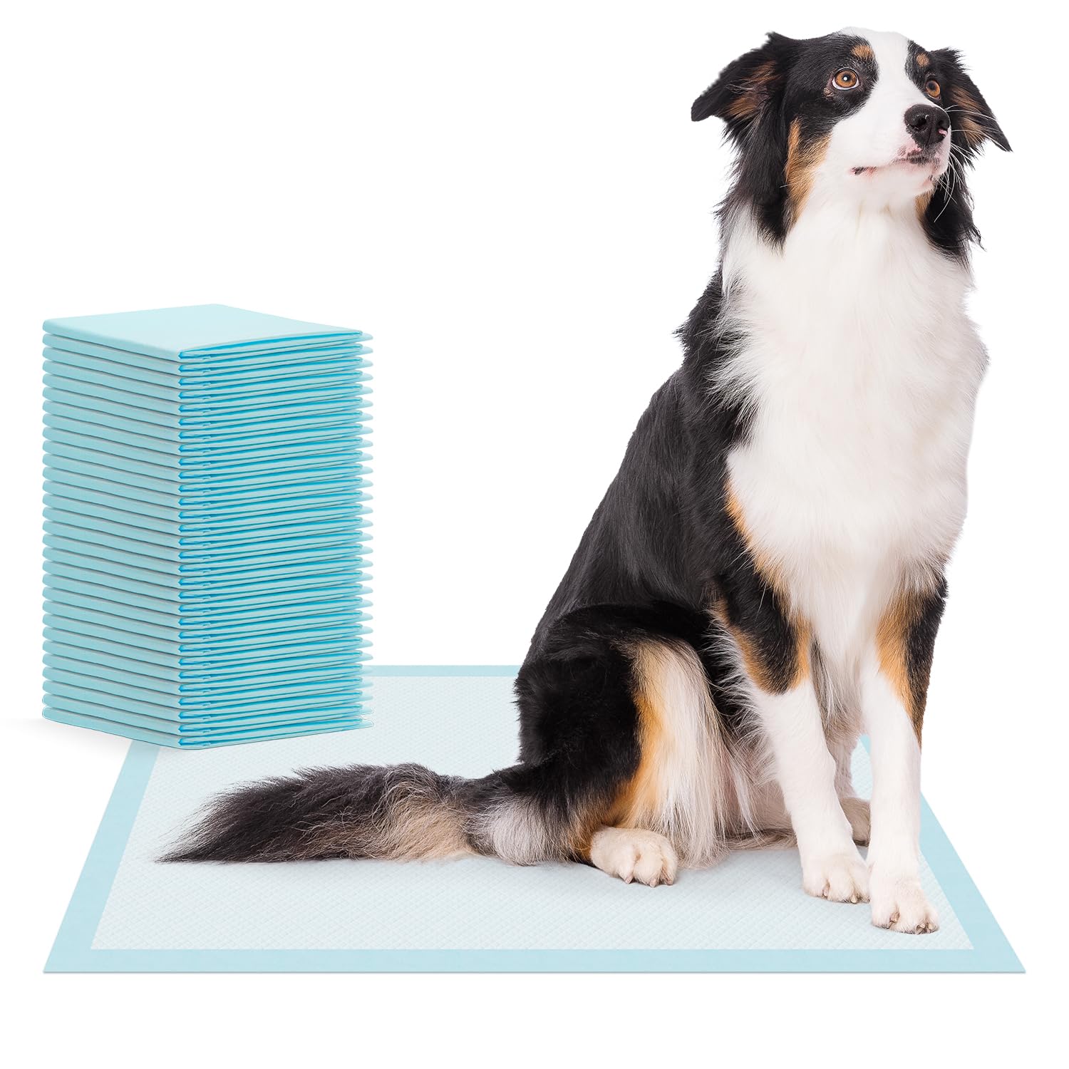 210x ARNOMED Tapis pour Chiots, Accessoires pour Chiots, Tapis d'entraînement à 5 Couches pour Chiens en 90x60cm, Tapis Anti-fuites pour Chiens, Puppy Pads absorbants, Accessoires pour Petits Chiens