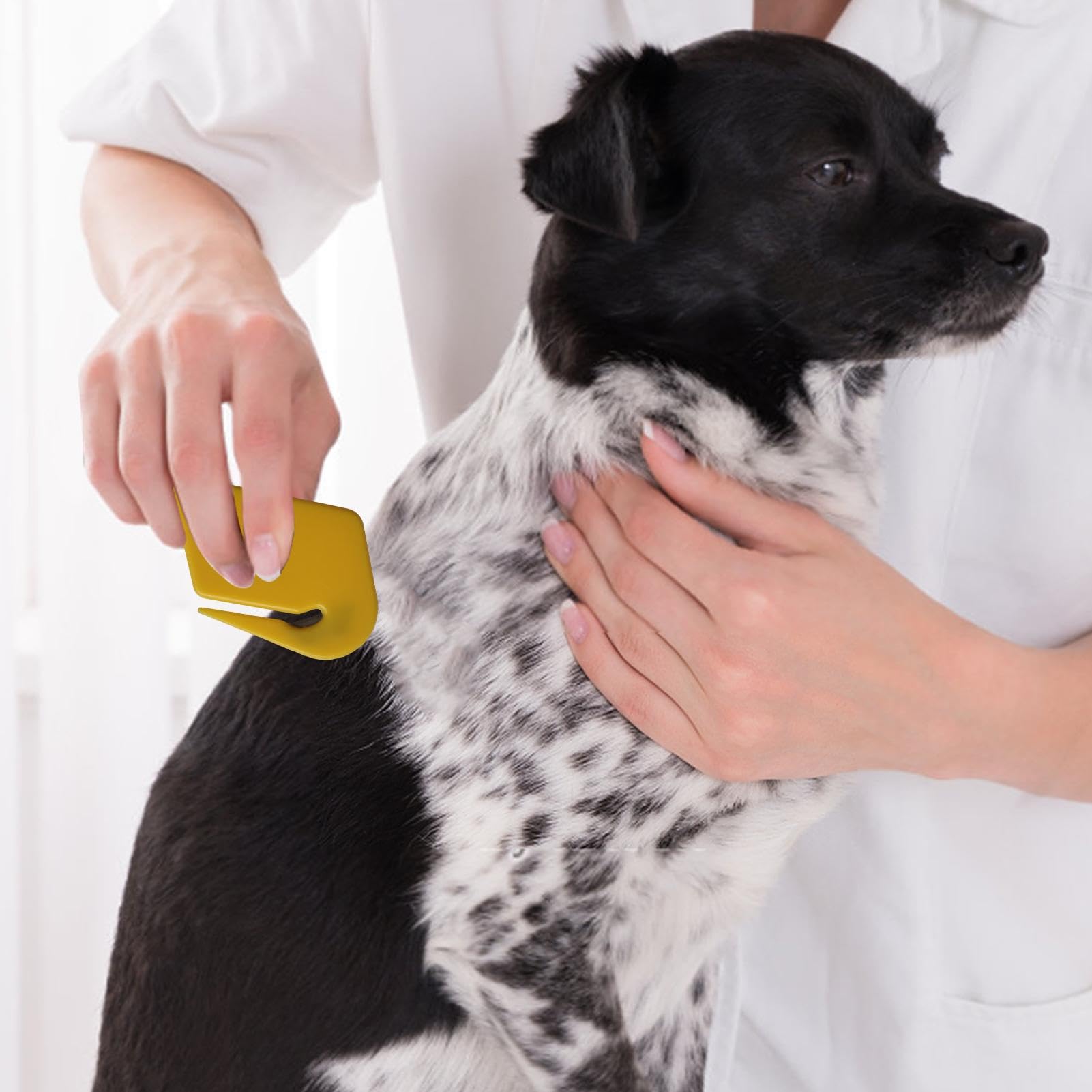 Pettine 2 In 1 Per Cani E Gatti - Acciaio Inox, Doppia Fila Denti, 17 Cm, Toelettatura Professionale