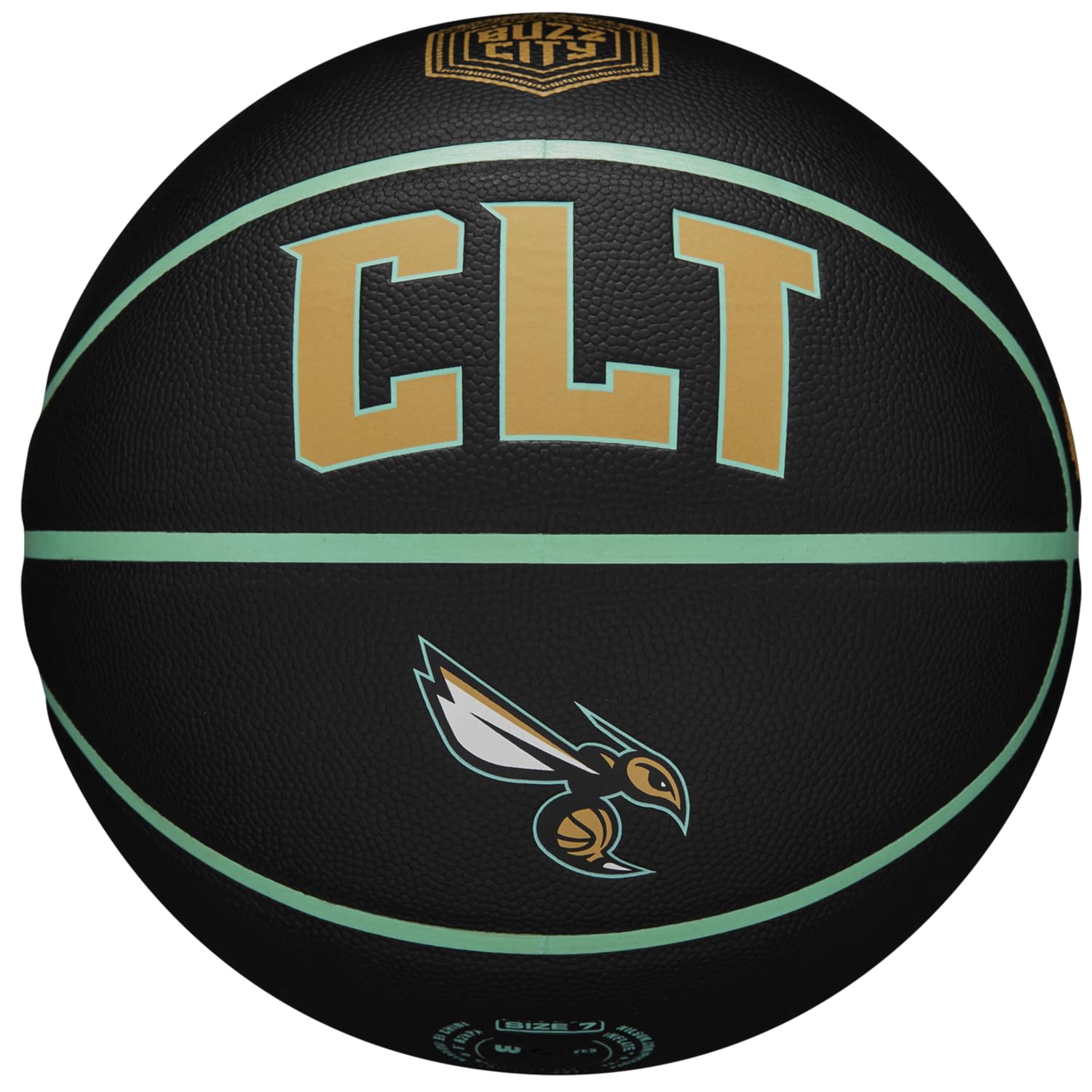Amazon.com : Wilson NBA Team City Collector Charlotte