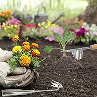 Vista 7 de Extractor de malezas, herramienta de deshierbe de acero inoxidable, herramienta manual de eliminación de malezas, desbrozadora de raíces