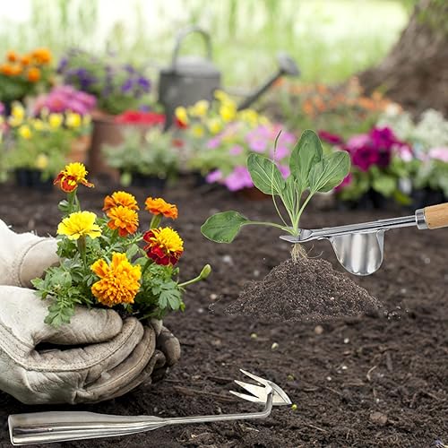 Miniatura 7 de Extractor de malezas, herramienta de deshierbe de acero inoxidable, herramienta manual de eliminación de malezas, desbrozadora de raíces para