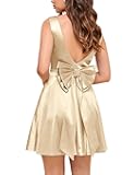 Women's Classic Scoop Collar Emprie Waist Cocktail Party A Line Short Dress
