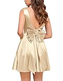 Women&apos;s Classic Scoop Collar Emprie Waist Cocktail Party A Line Short Dress