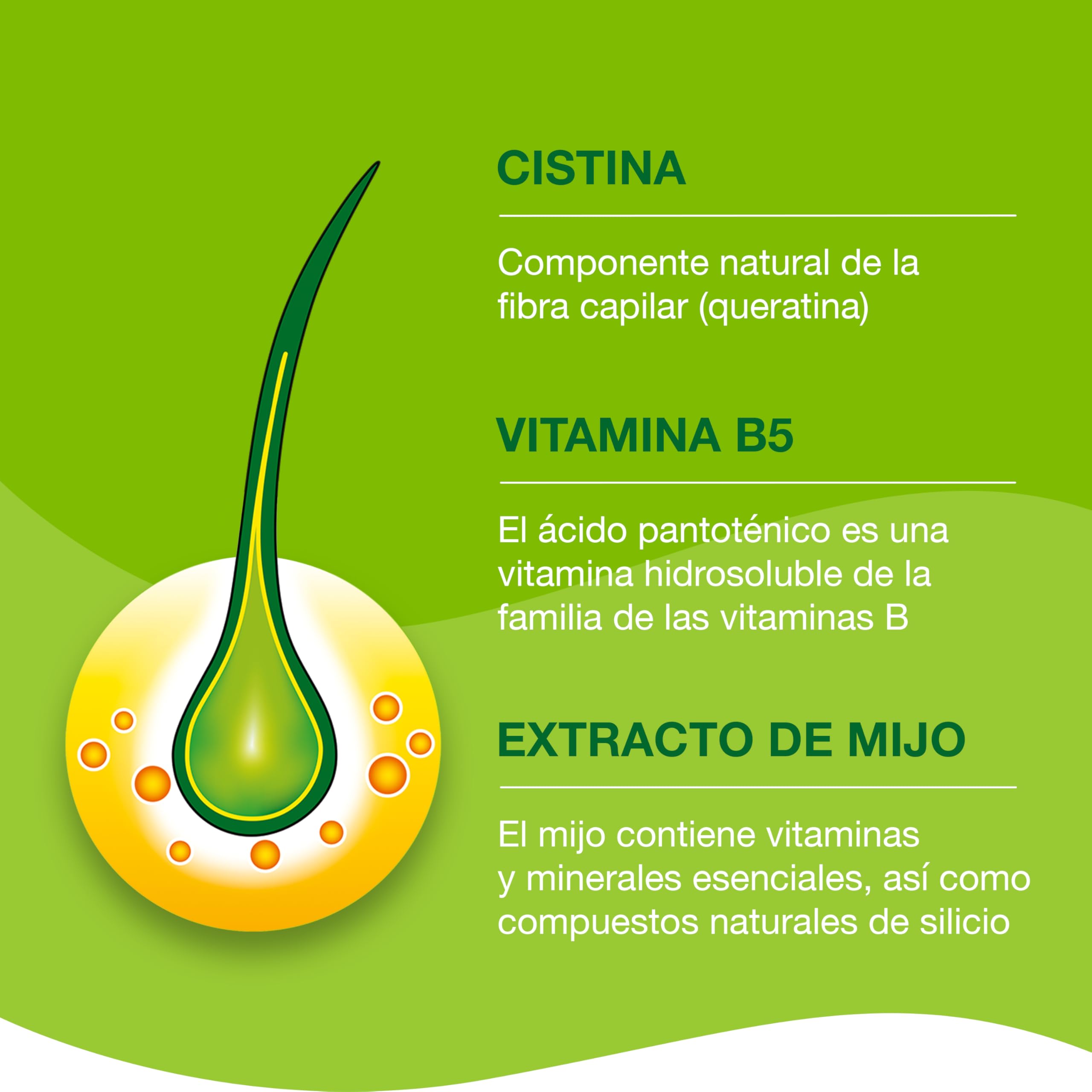 Priorin Cápsulas Complemento Alimenticio con Biotina, L-Cistina, Extracto de Mijo y Ácido Pantoténico, para Mantener un Cabello Sano, 60 Cápsulas
