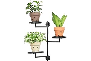 Stunning Rotating Window Plant Shelves for Thriving Indoor Gardens