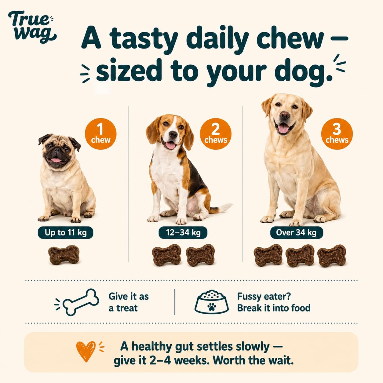 Probiotic Soft Chews for Dogs | 6 Billion CFU, 5 Strains | Turmeric & Pumpkin | Heat-Stable Gut Health & Digestion Support | Chicken Flavour | 30 Soft Chews — Amazon image 7
