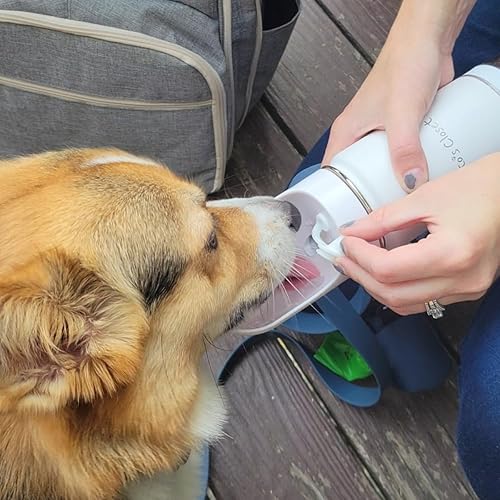 Miniatura 6 de Tito's Closet Botella de agua portátil para perros, 14 onzas, acero inoxidable de alta calidad, diseño a prueba de fugas, botella de agua para